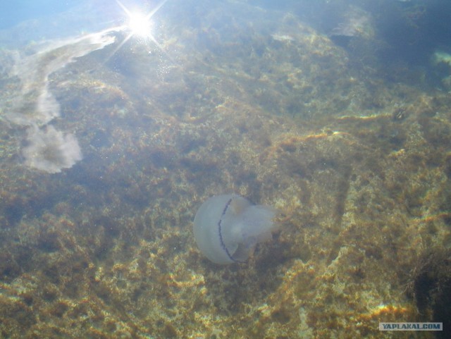 Мыс Тарханкут - самая западная точка Крыма.