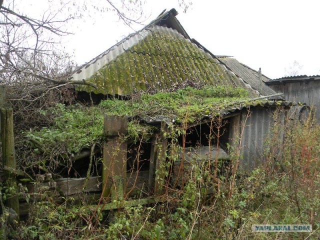 Забытая  людьми деревушка