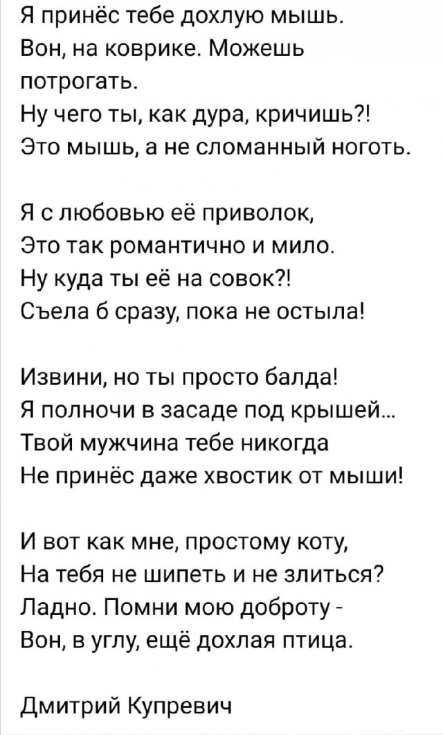 Я принес тебе дохлую мышь...