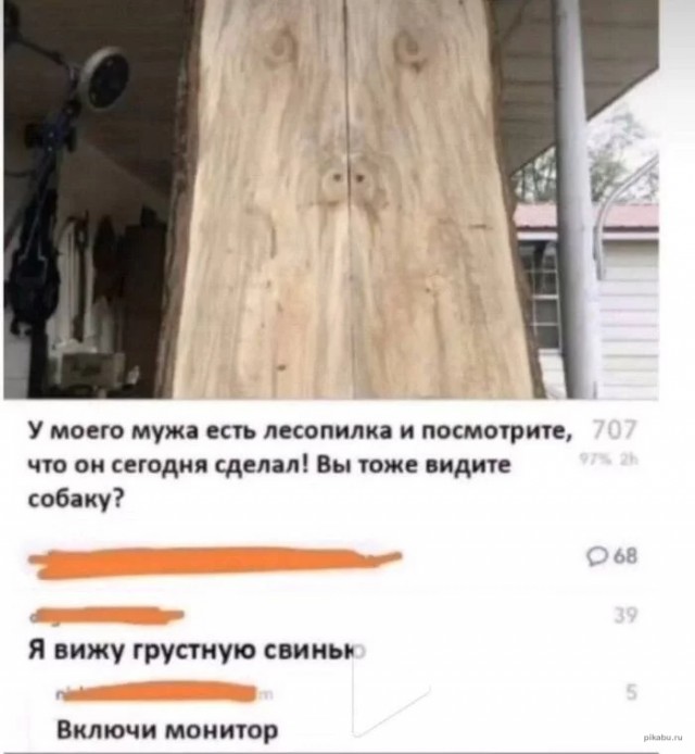 Так себе картинки 22.11.22