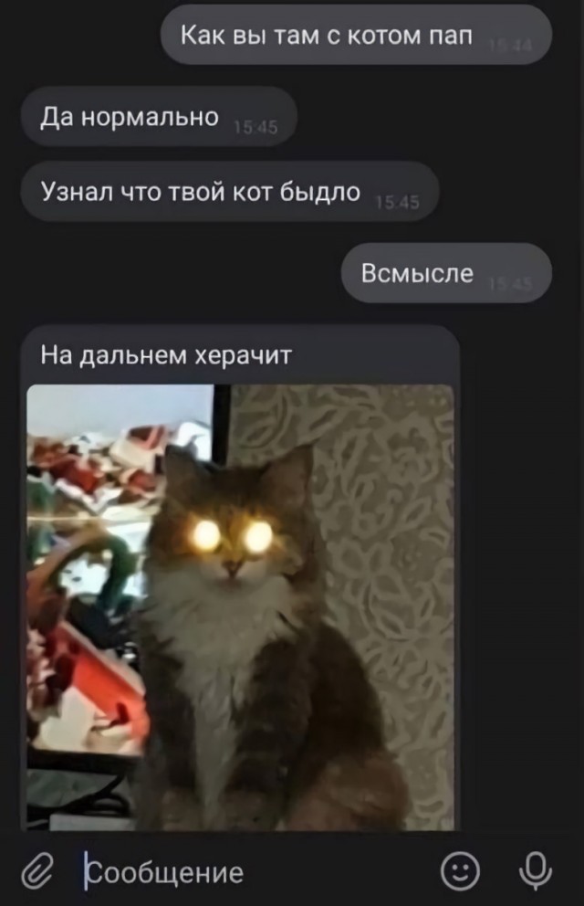 Юмор в картинках и без 20.01.2023