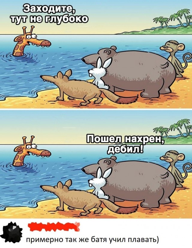 Так себе картинки 04.02.23