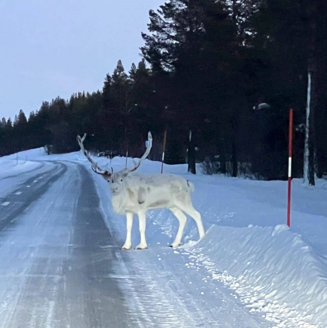 Подборка интересных и прикольных фото из Сети 01.04.23
