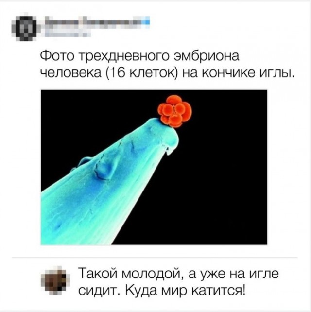 Скриншоты и комментарии из социальных сетей 12.05.23