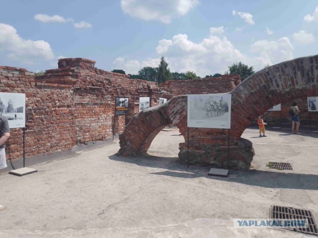Беларусь. Июнь 2023
