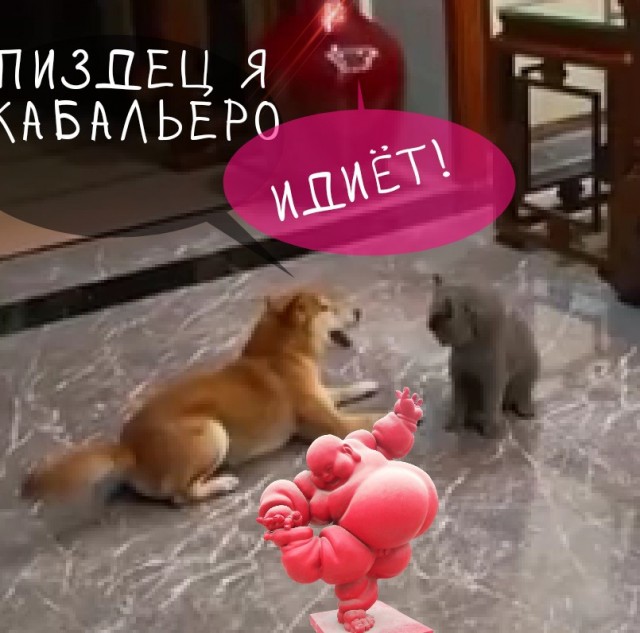 Новая собачья тактика для избежания драки с котом
