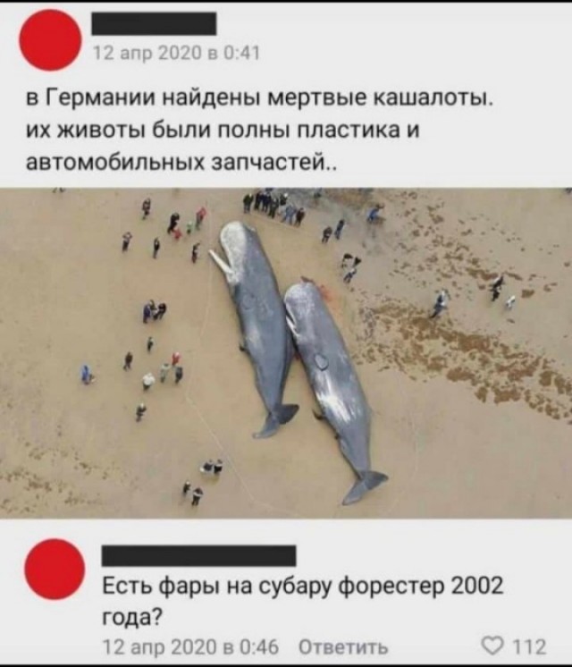 А знаете чё? Буду катать, пока не станет махать передними крыльями