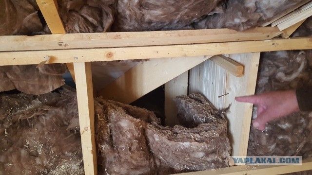 И снова на тему о,, толпах желающих, которые стоят на улице и ждут работу,,. На этот раз ищем подсобника.