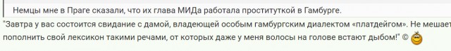 Глава МИД ФРГ Бербок: Россия установила в зоне СВО гигантские минные поля «размером с Западную Германию»