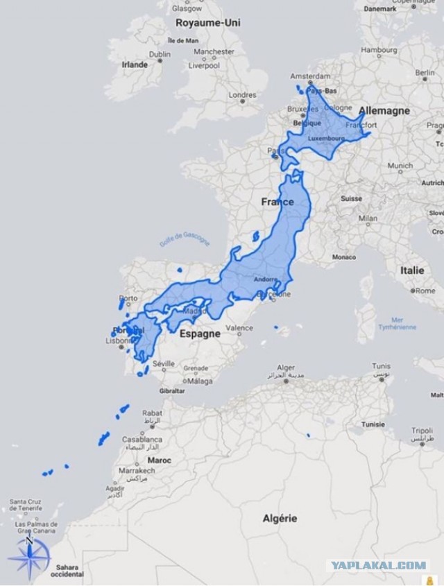 Вагоны с местами-капсулами