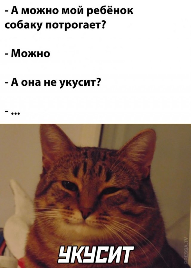 Юмор в картинках и без