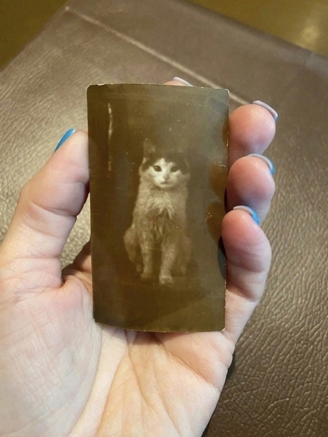 Пушистик 1962 г.