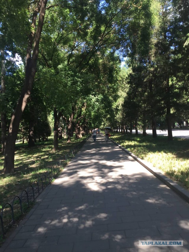 Китай. Пекин-Бэйдайхэ 20024 China.  Beijing-Beidaihe 20024 中国。北京北戴河 20024