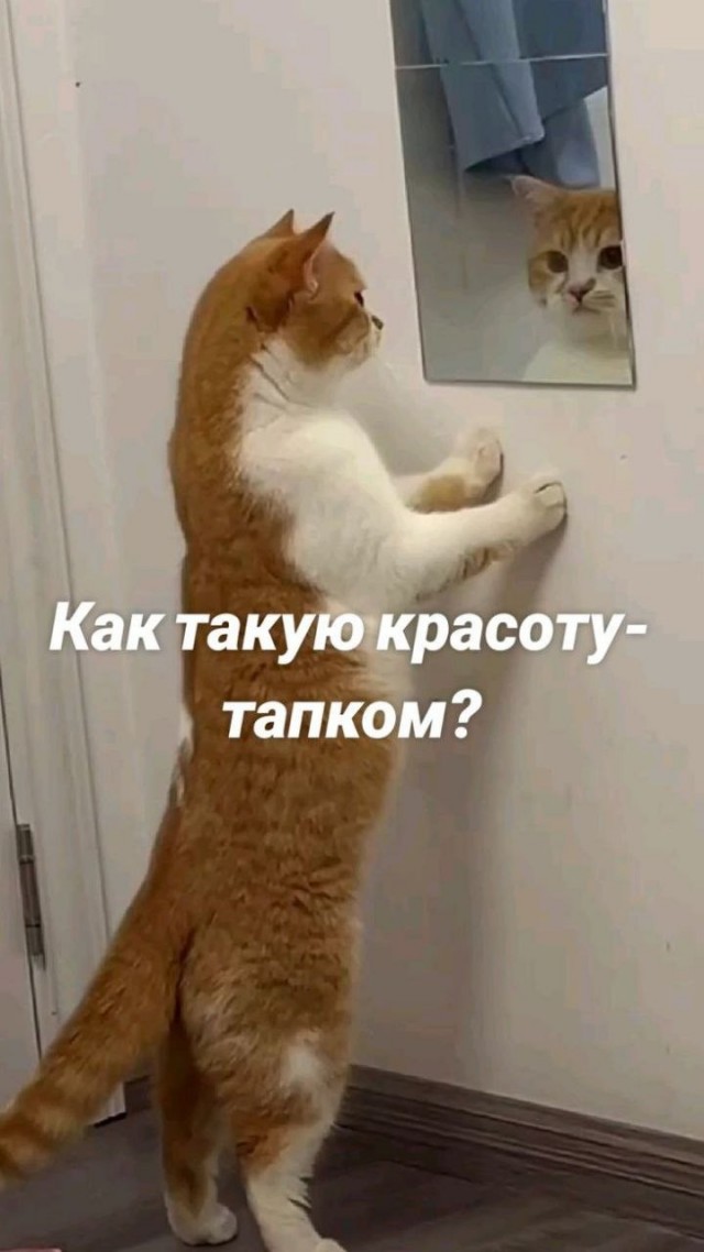 Сколько-то картинок