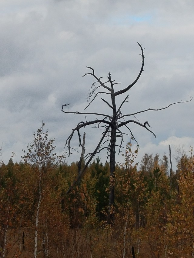 Осень на озёрах 2