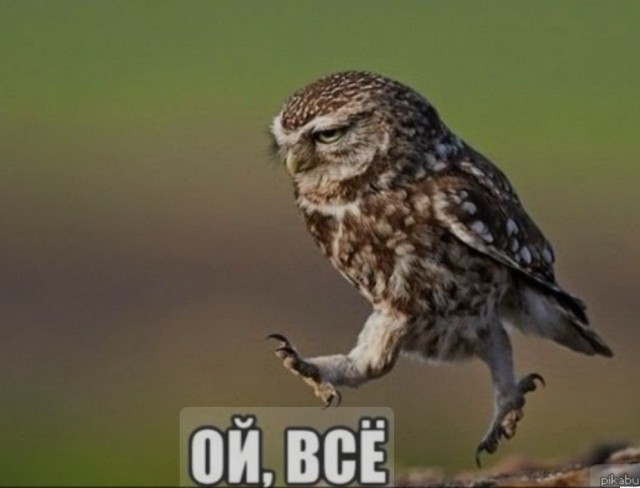 Юные спортсмены