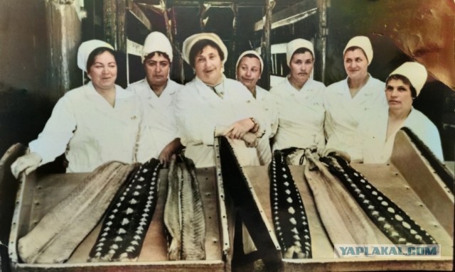 Фотографии из прошлого нашей страны – 93