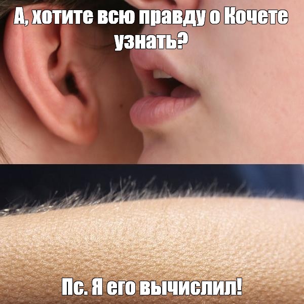 ХренТВ. Тайны-тайные и прочие загадки-неразгадайки сегодня в эфире. Встречайте!