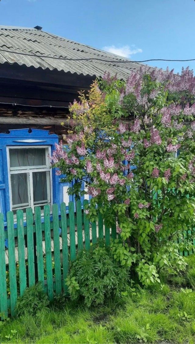 Прикольные и просто красивые картинки 08.05.2025