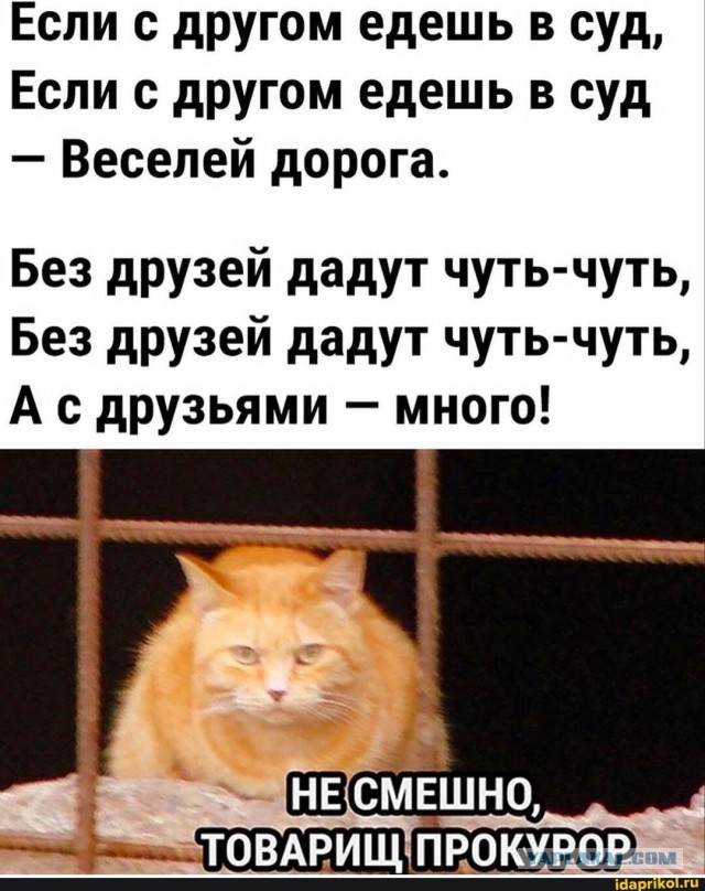 Всегда будь в плюсе