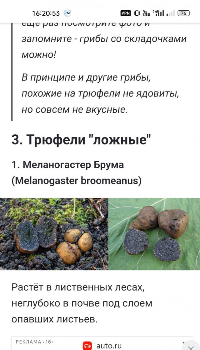 Белые пошли