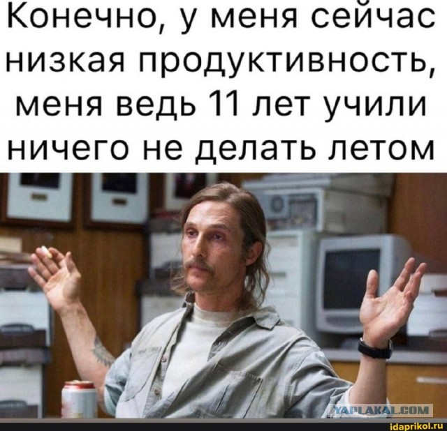 Весёлый полтишок 22.08.25