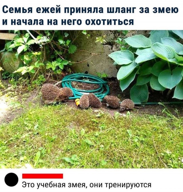 Так себе картинки 13.09.25