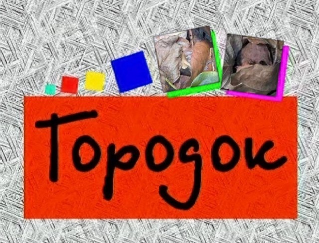 Картинка с загадкой