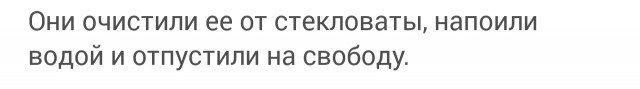 Спасли синичку