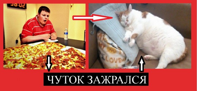 Все врут.