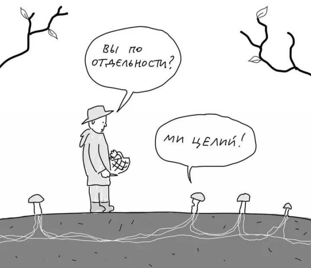 Среда обитания 0.1