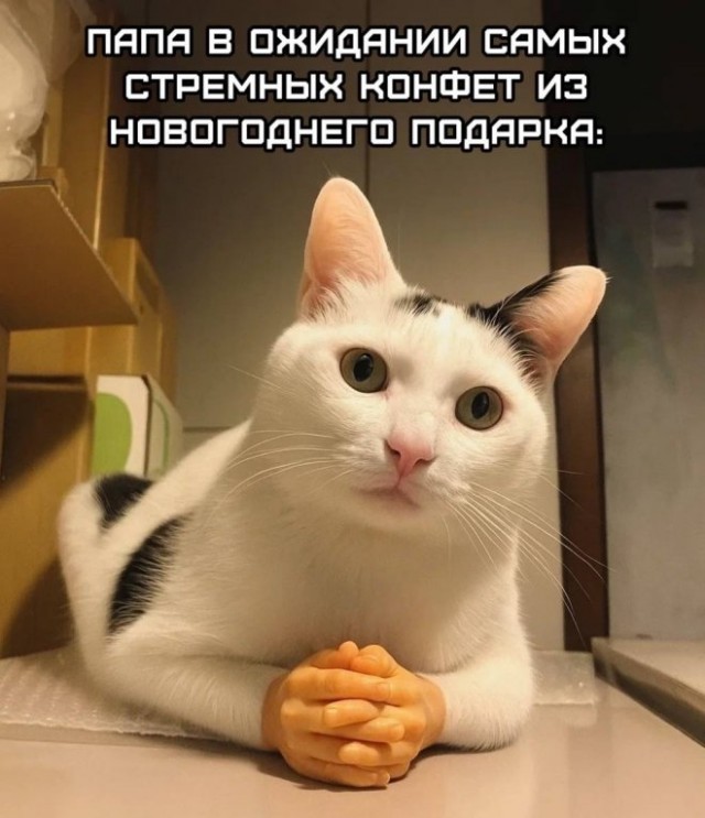 Картинки для деградации 89 (разной степени свежести)