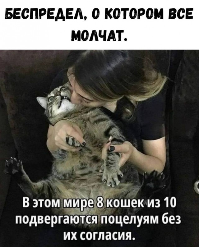 И так,вторник .