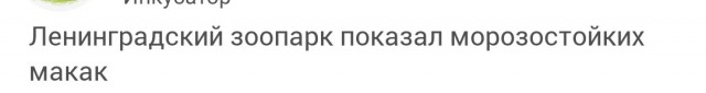 Густой подшерсток и запас жира