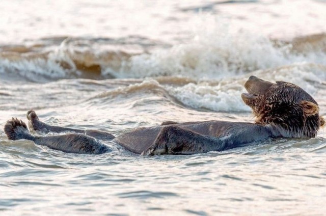 Картинки на пятницу 20.02.26