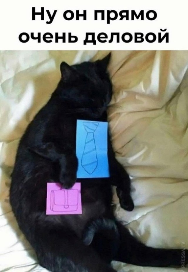 Так себе картинки 28.02.26