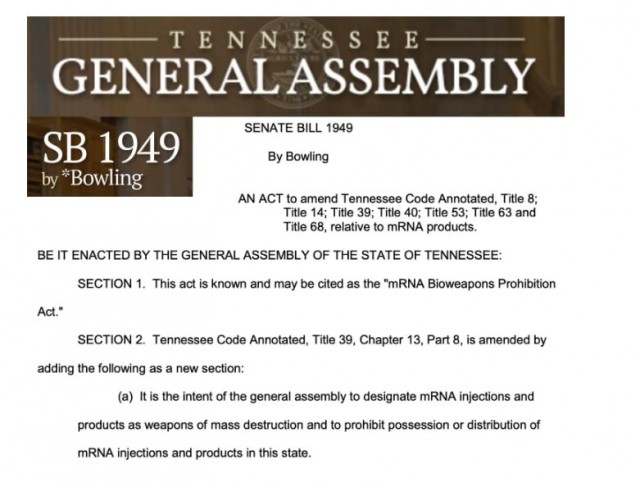 Ковид, Цифровая валюта и прочие радости. III