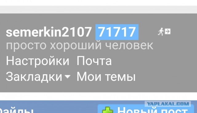 Продаётся Юкка