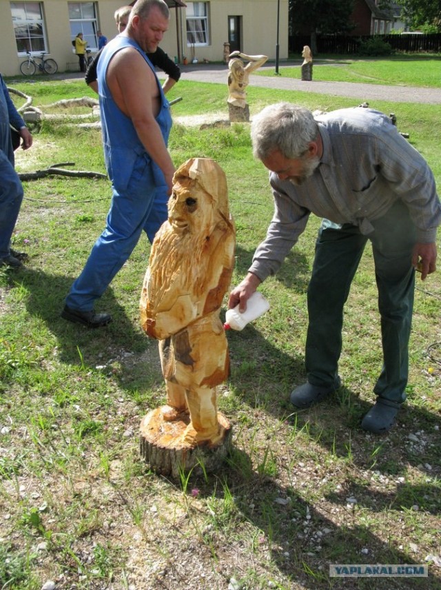 Курсы по работе бензопилой.