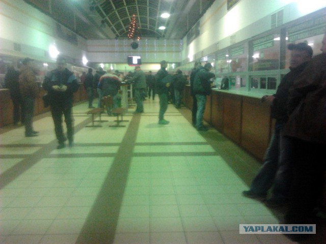 Где яблоки растут!