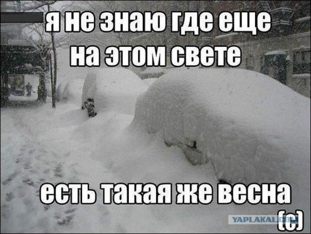 Да это шутка была!