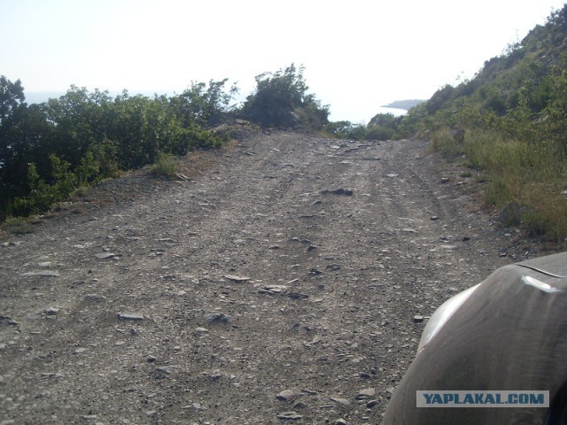 Поездка с собакой, на море, дикарями (Краснодар)