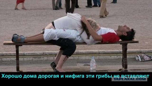 Пошлые демотиваторы 18+, веселые картинки