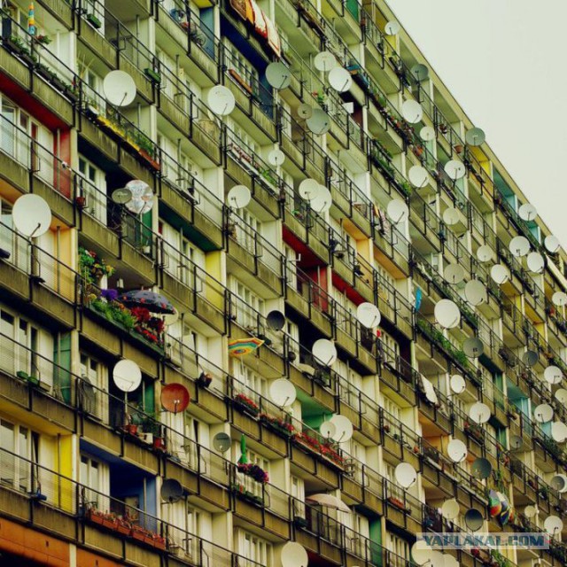 Весёлое из сети