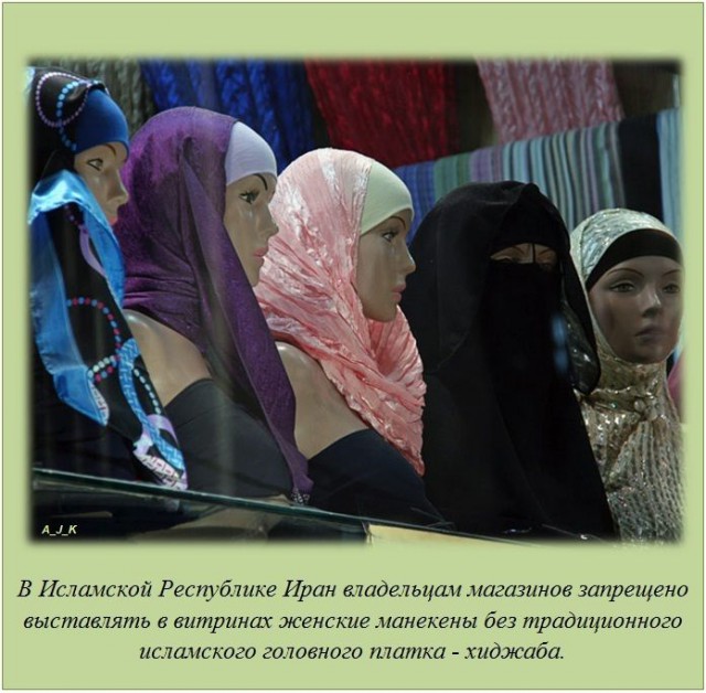 20 фактов обо всем