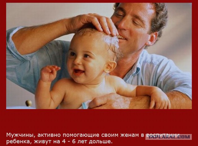 20 фактов обо всем