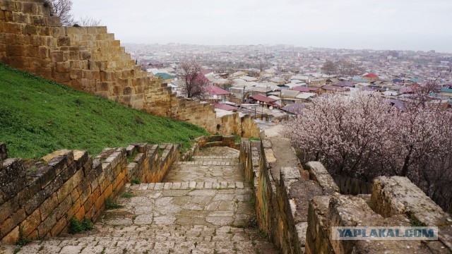 Дикарями в Дагестан, апрель 2015 г.