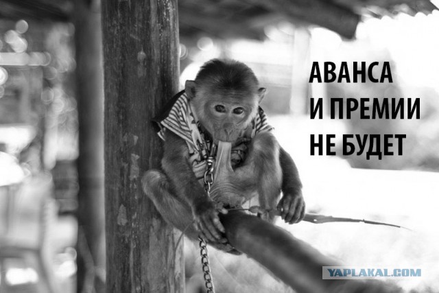 Смешные картинки №...дцать