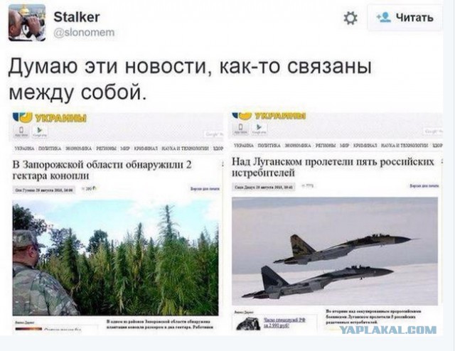 Смешные комментарии 30.08.2015