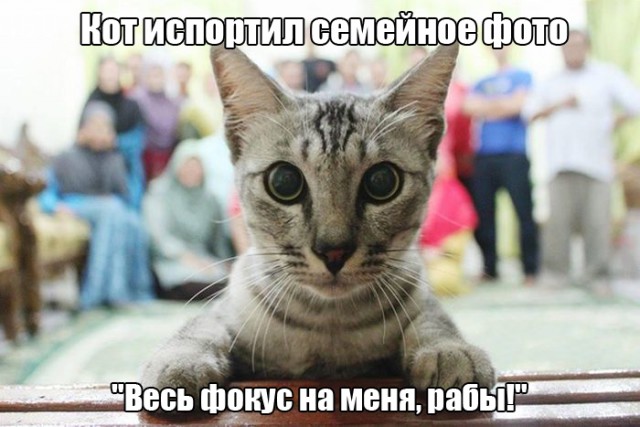 Картинки разные с просторов